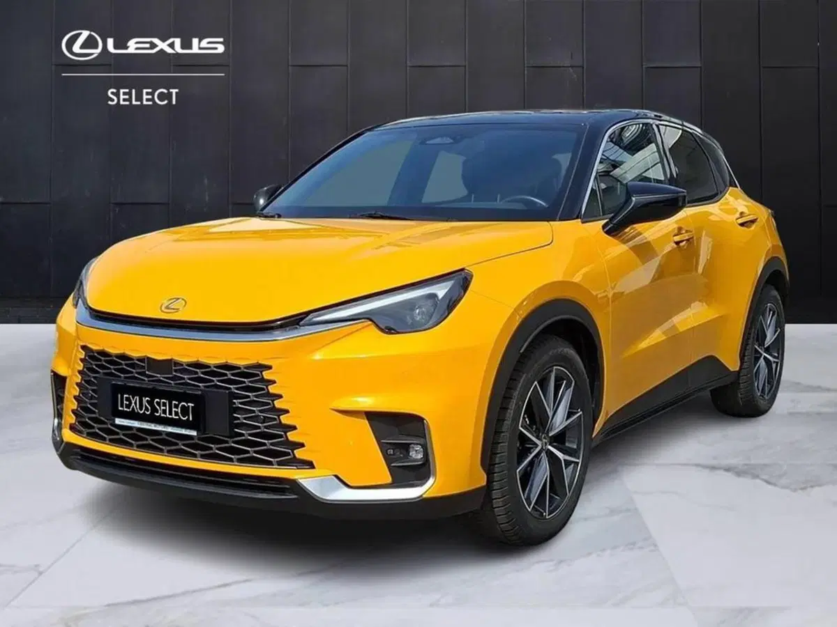 Lexus LBX usata a Torino