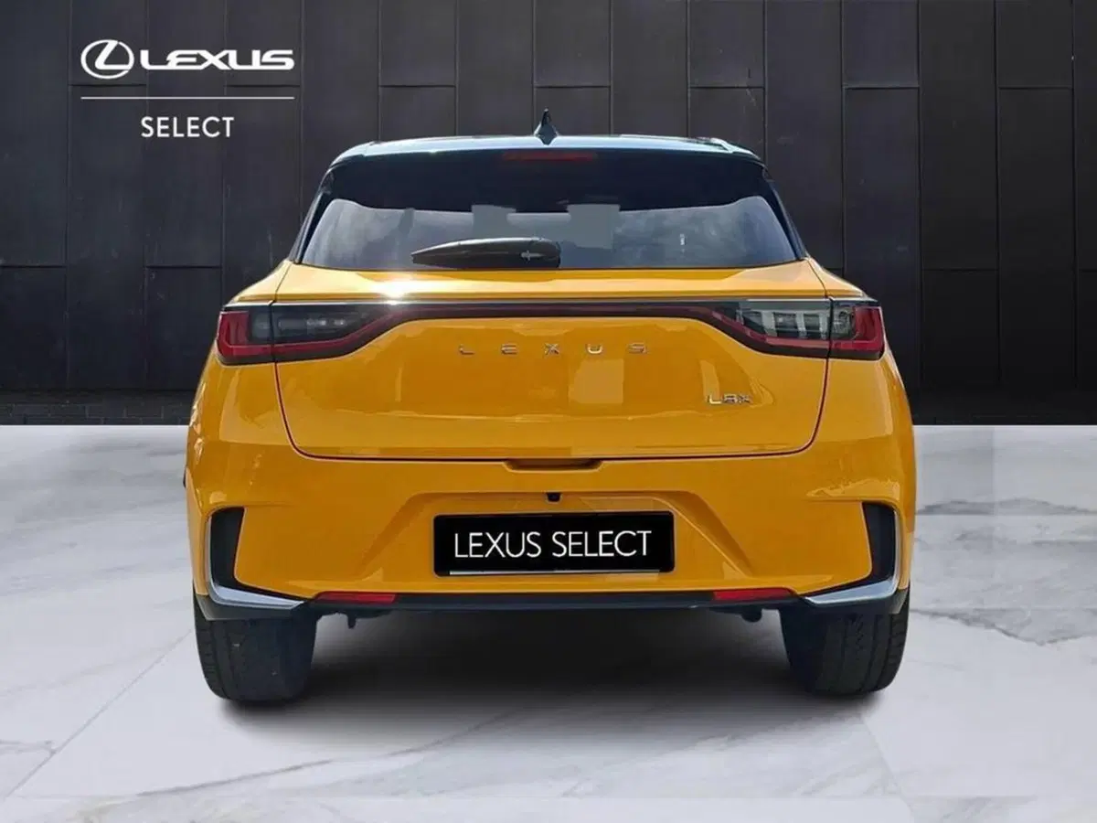 Lexus LBX usata a Torino (5)