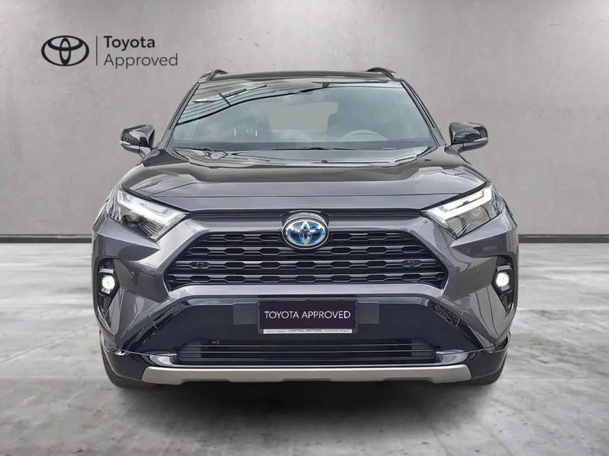 Toyota Rav4 usata a Torino (4)
