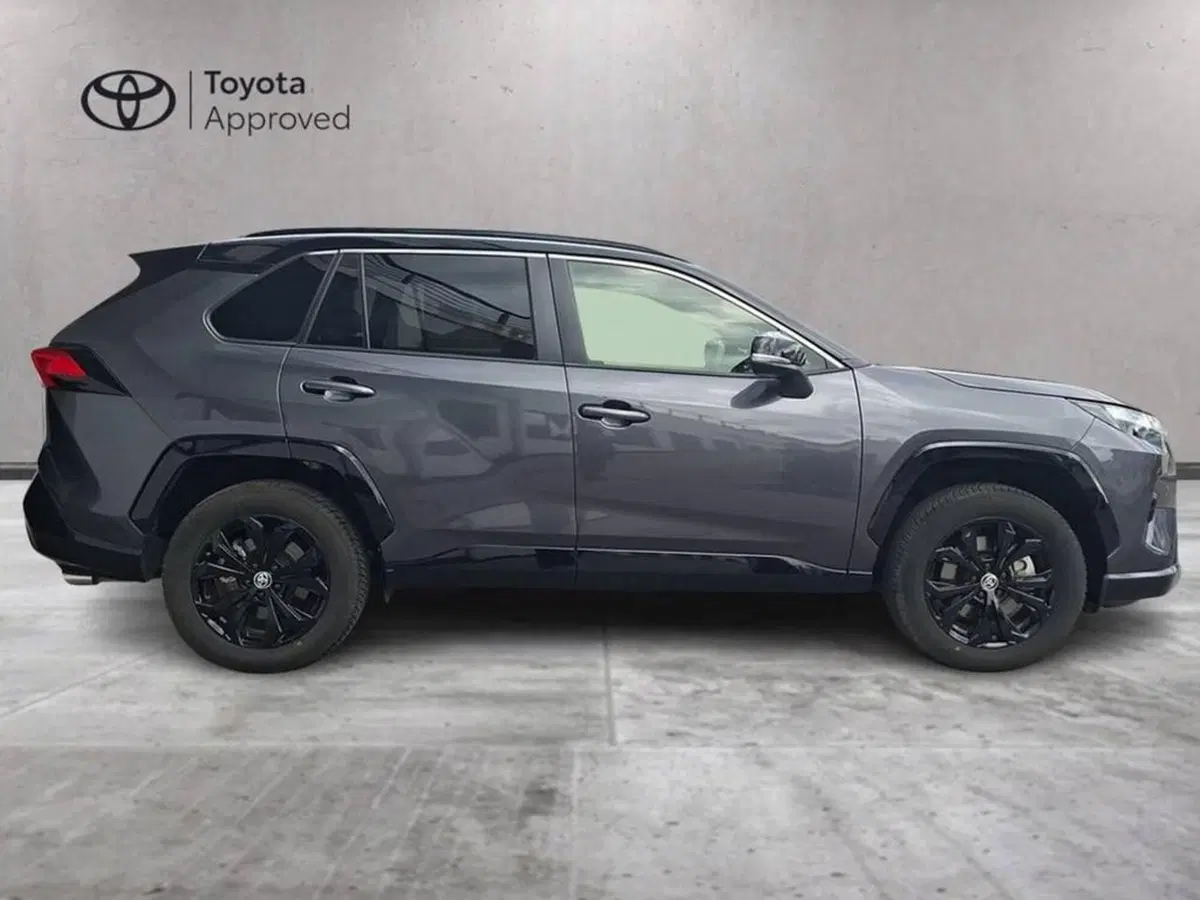 Toyota Rav4 usata a Torino (6)