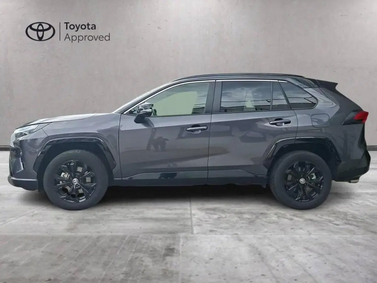 Toyota Rav4 usata a Torino (7)