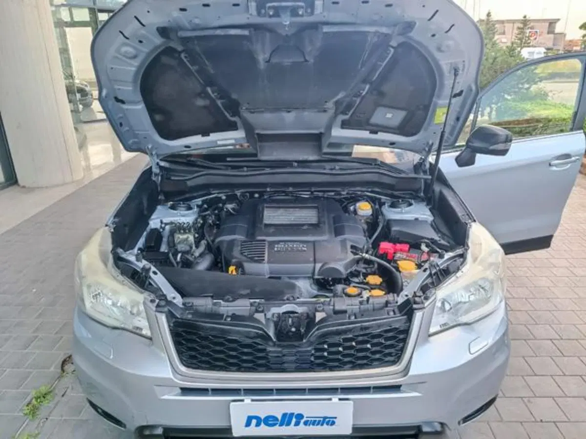 Subaru Forester usata a Pisa (3)