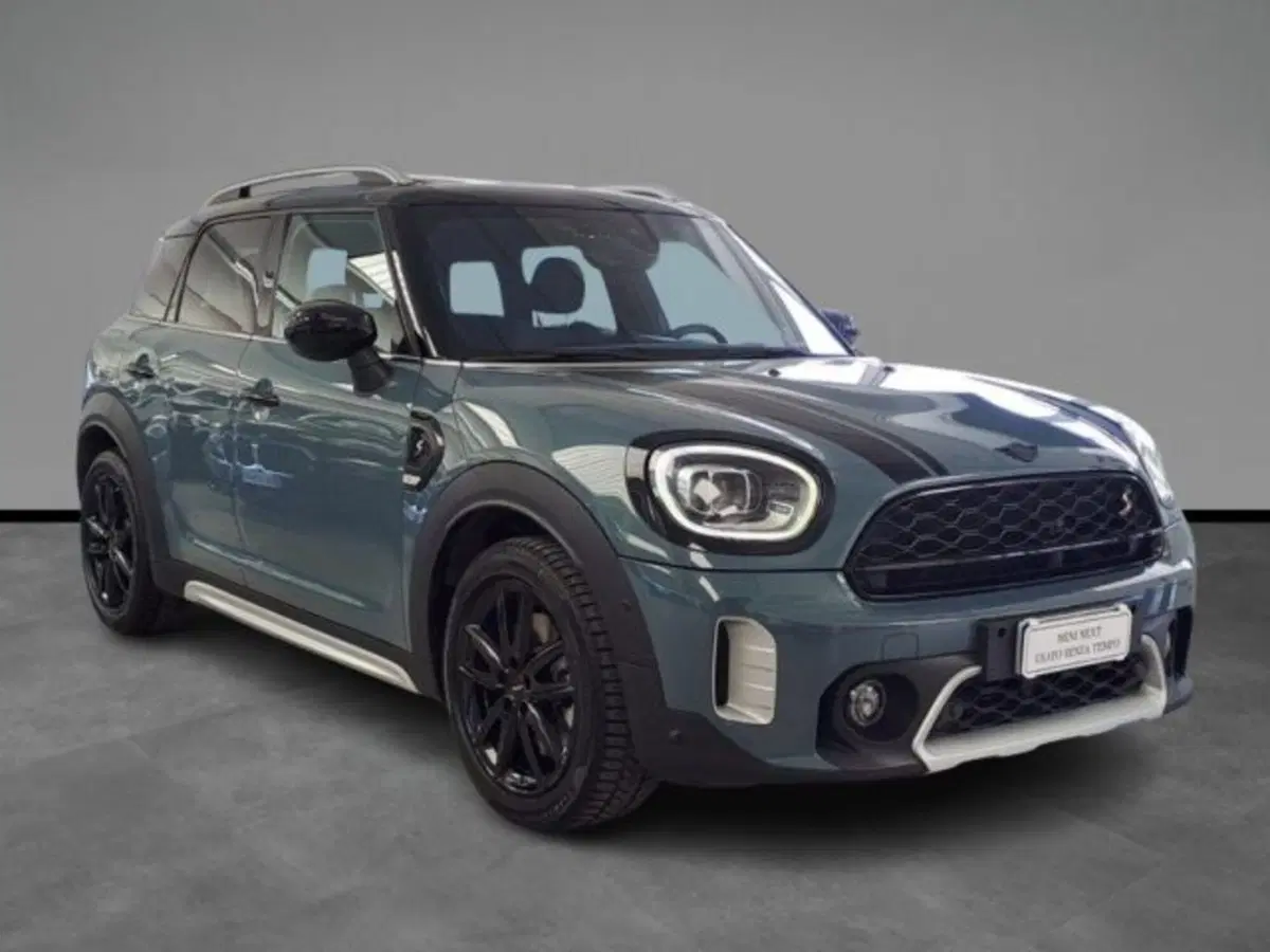 MINI Mini Countryman usata a Verona (16)