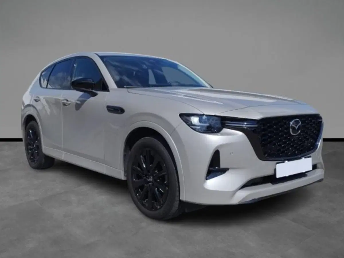 Mazda CX-60 usata a Verona (17)