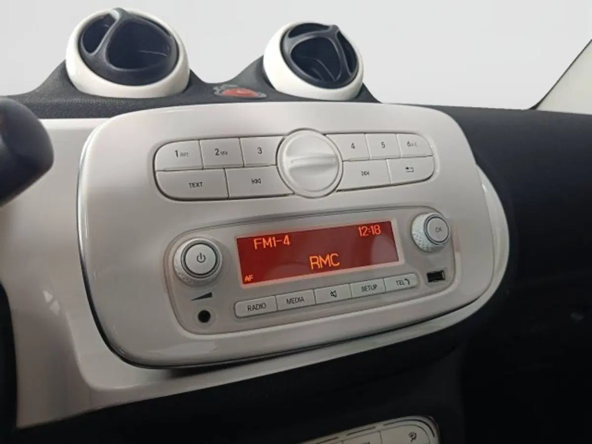 smart Fortwo usata a Teramo (12)