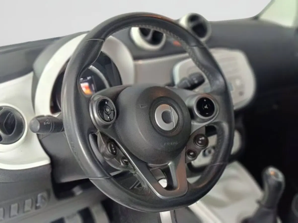 smart Fortwo usata a Teramo (13)