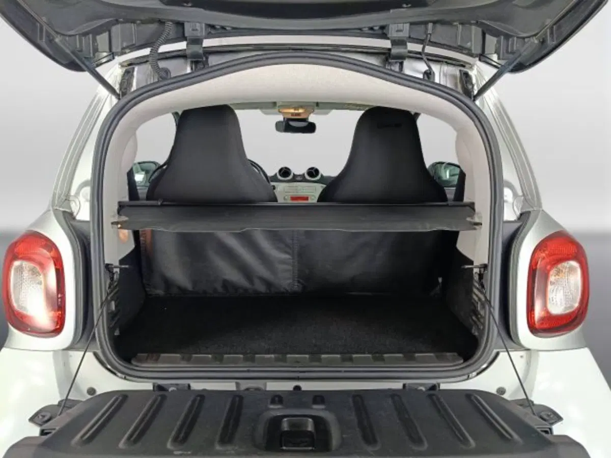 smart Fortwo usata a Teramo (14)