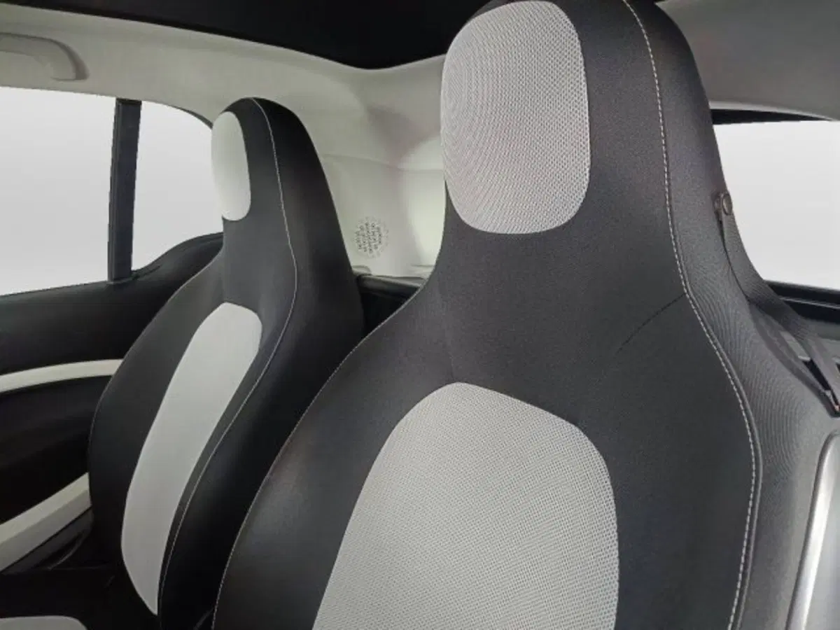 smart Fortwo usata a Teramo (18)