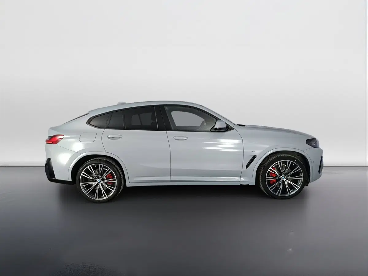 BMW X4 usata a Ascoli Piceno (3)