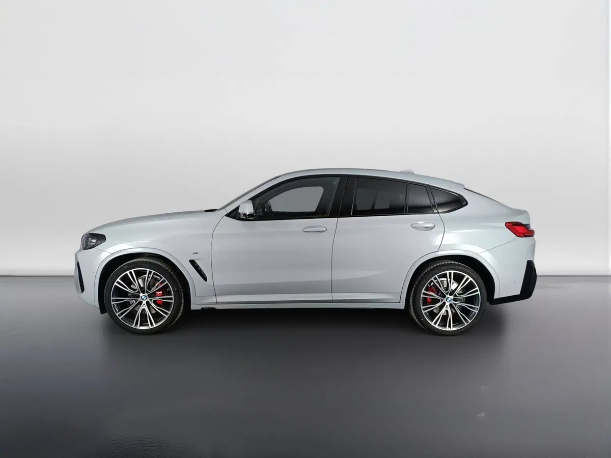 BMW X4 usata a Ascoli Piceno (6)