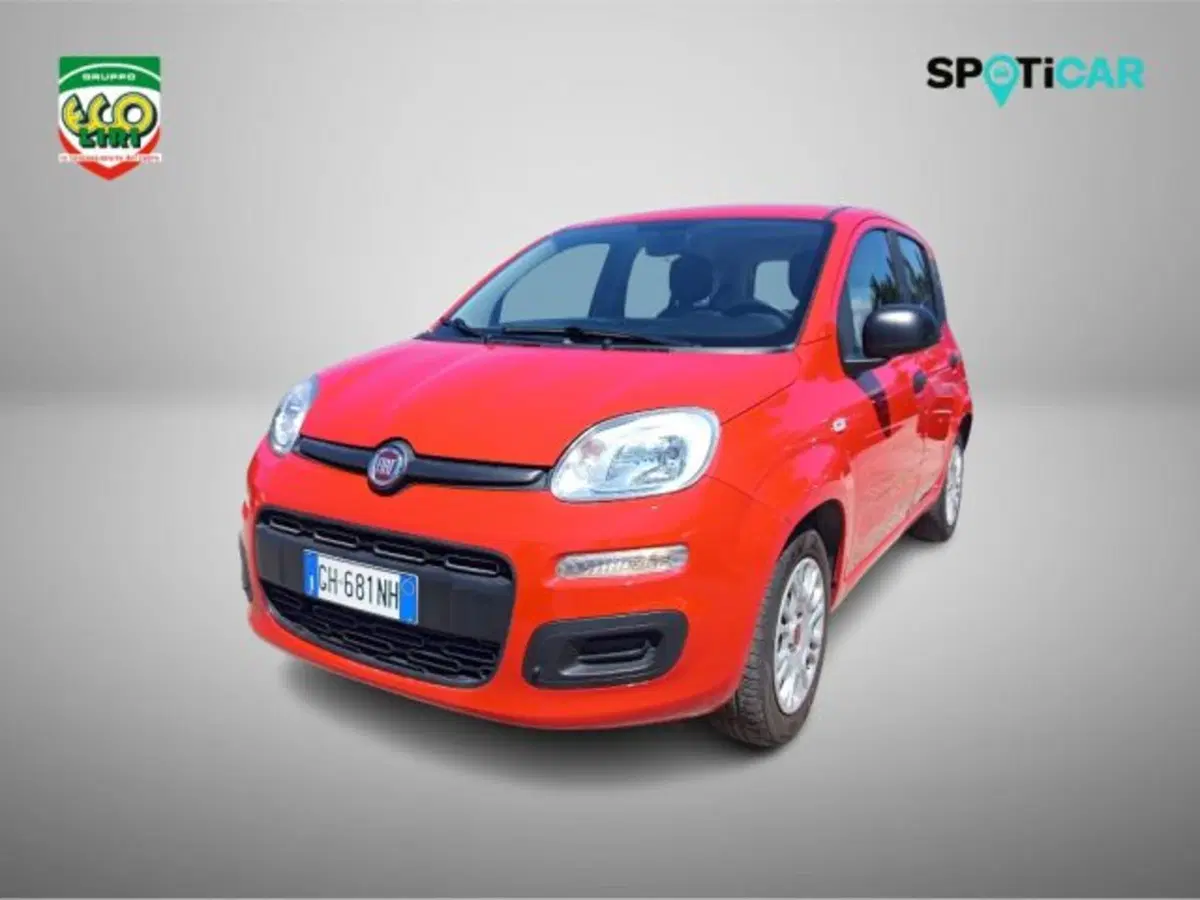 Fiat Panda usata a Frosinone