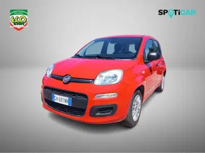 Fiat Panda 1.0 firefly hybrid s&amp;s 70cv 5p.ti del 2021 usata a San Giorgio a Liri