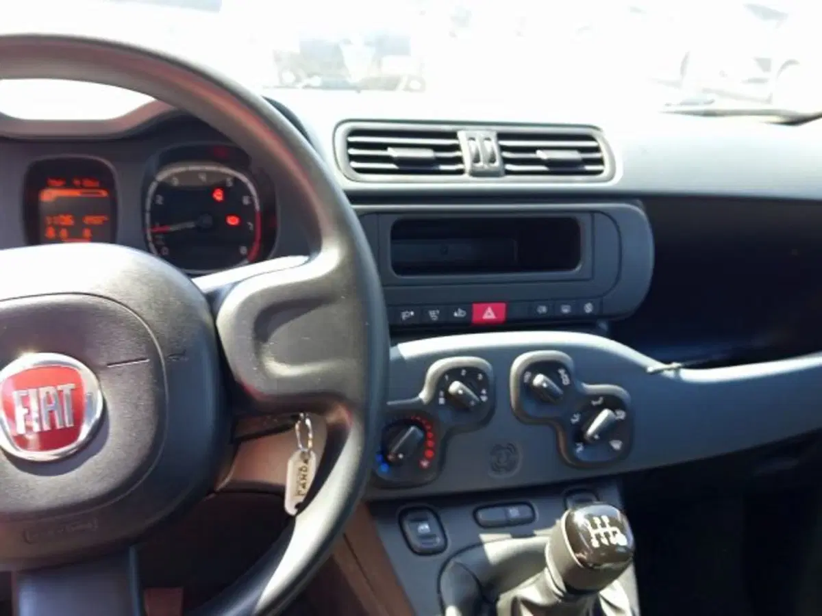 Fiat Panda usata a Frosinone (11)