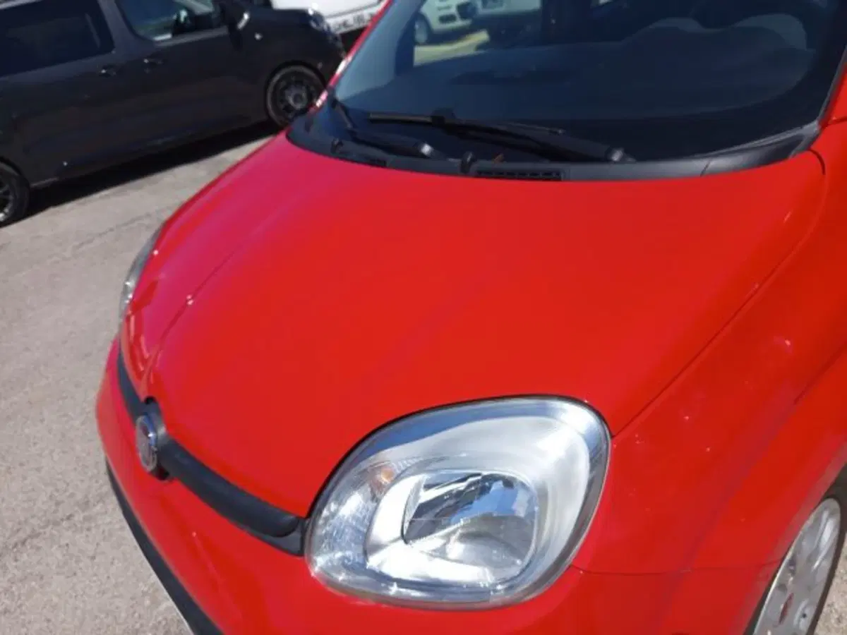 Fiat Panda usata a Frosinone (14)