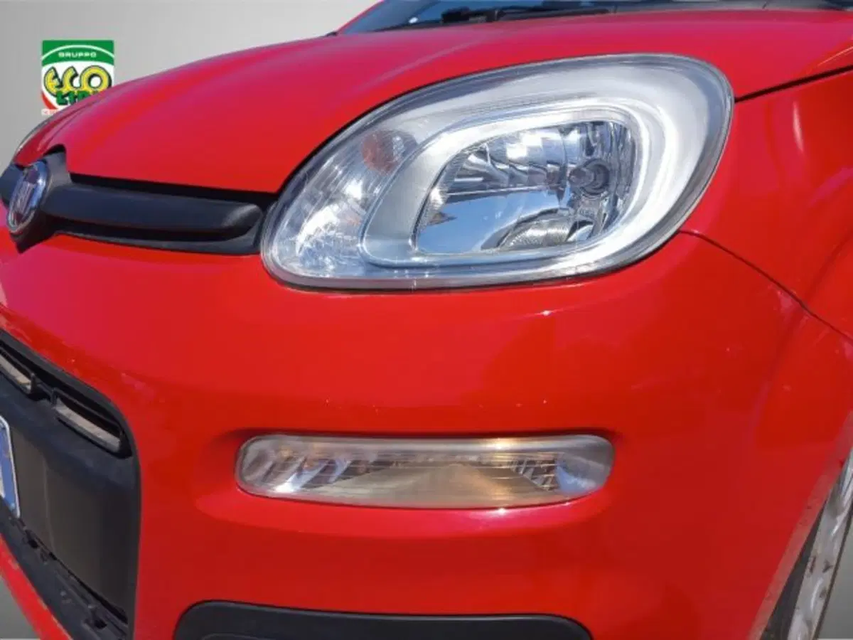 Fiat Panda usata a Frosinone (15)