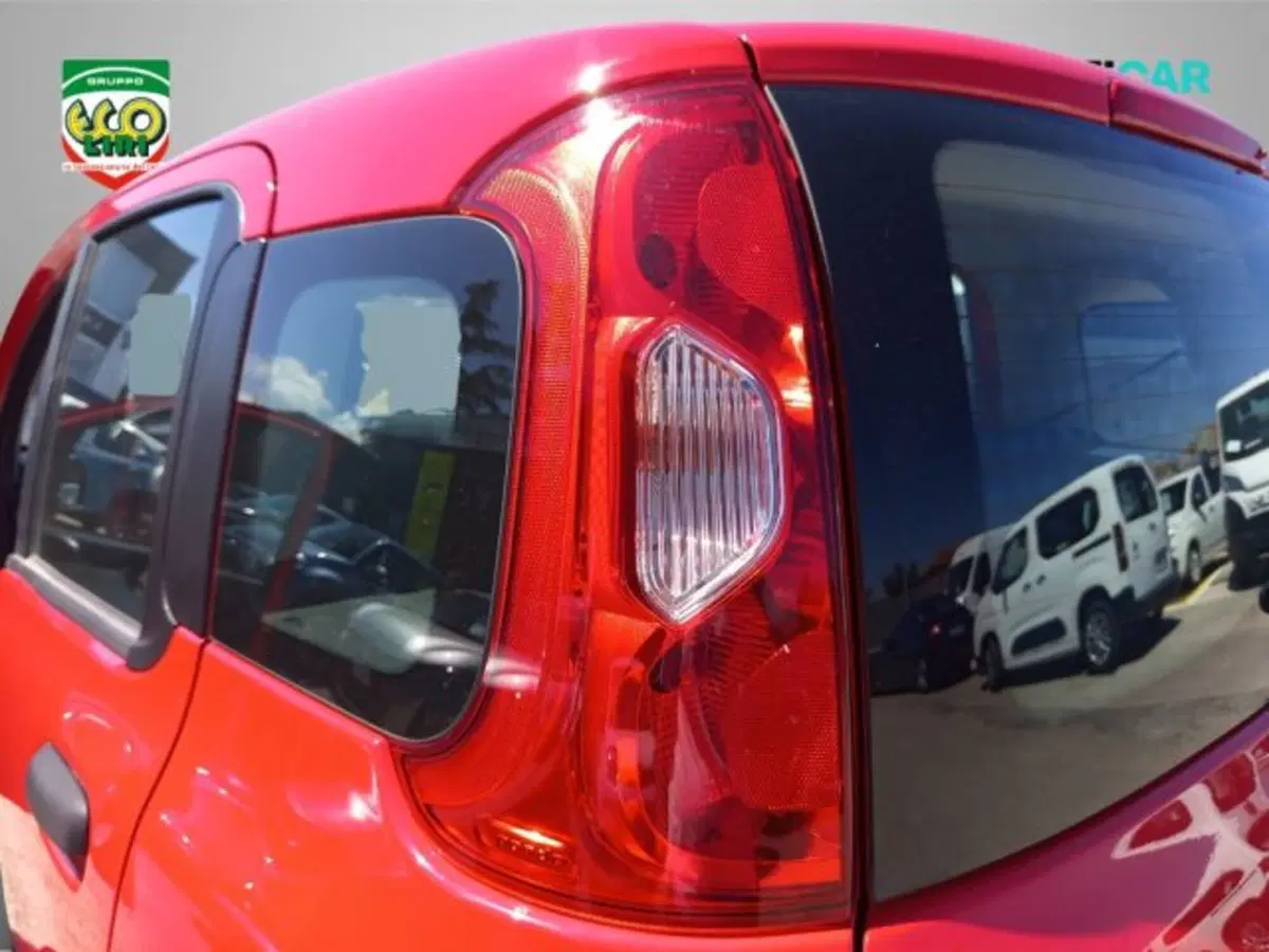 Fiat Panda usata a Frosinone (16)
