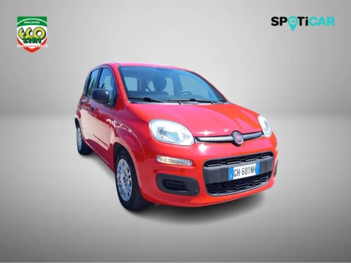 Fiat Panda usata a Frosinone (3)
