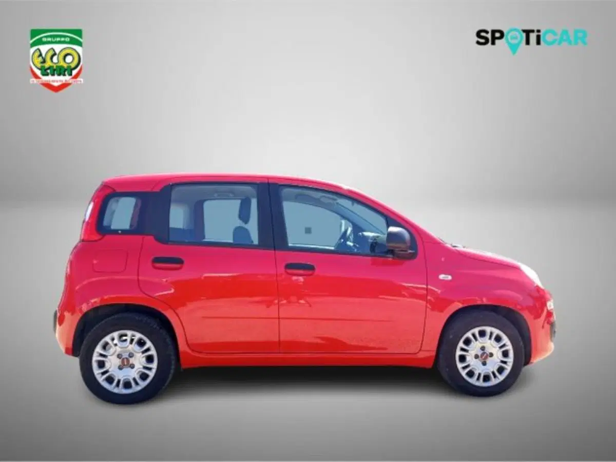 Fiat Panda usata a Frosinone (4)