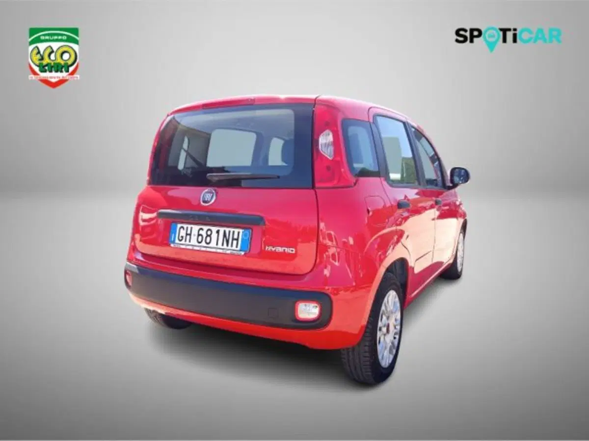 Fiat Panda usata a Frosinone (5)