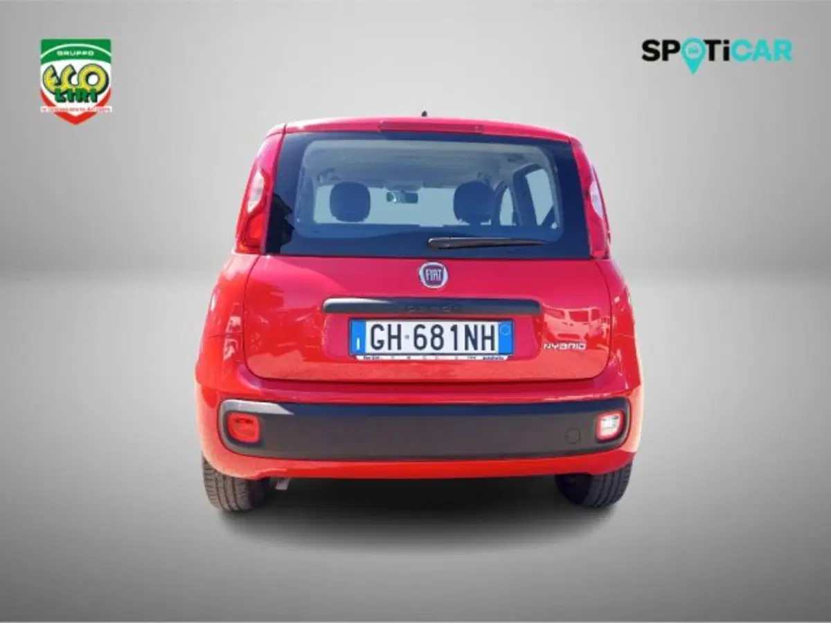 Fiat Panda usata a Frosinone (6)