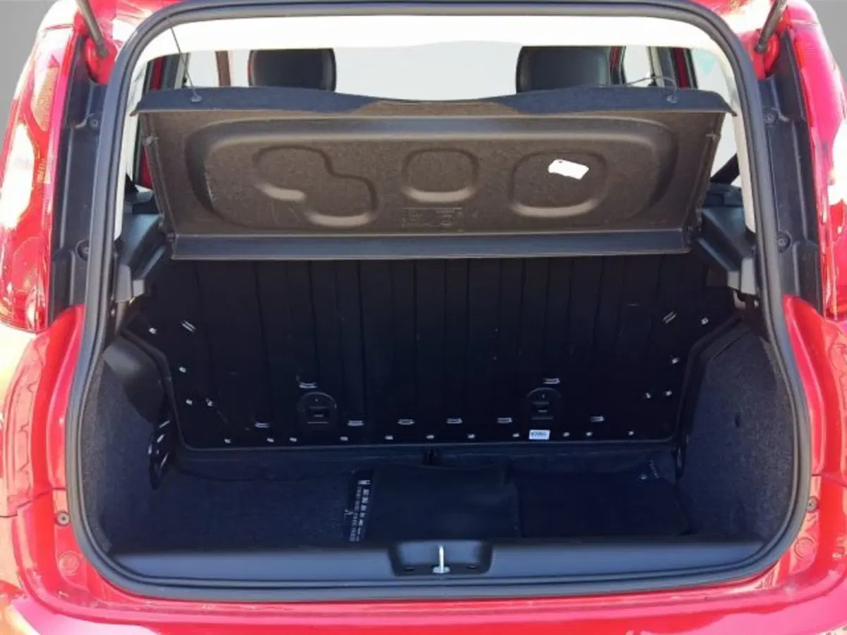 Fiat Panda usata a Frosinone (7)