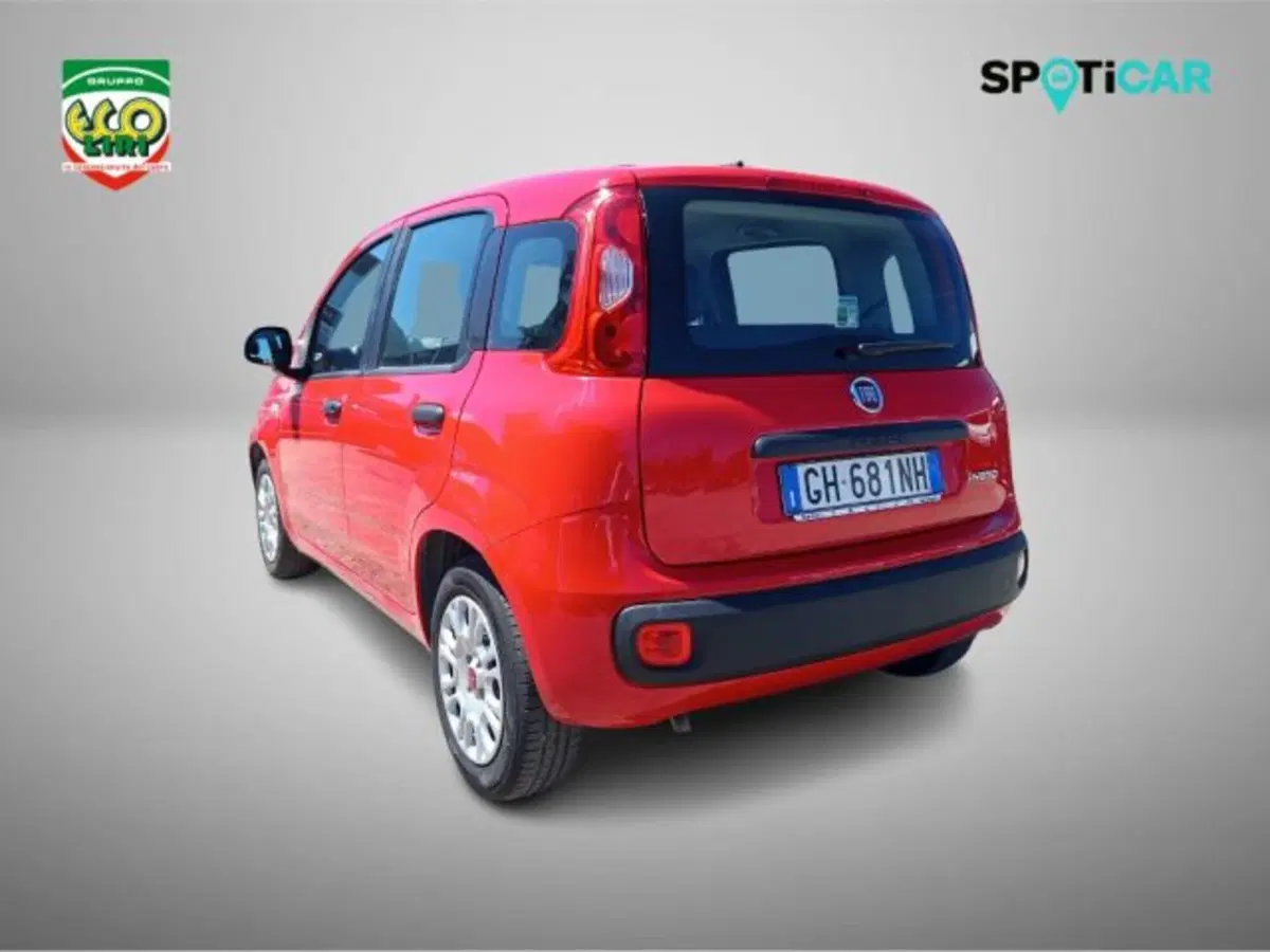 Fiat Panda usata a Frosinone (8)