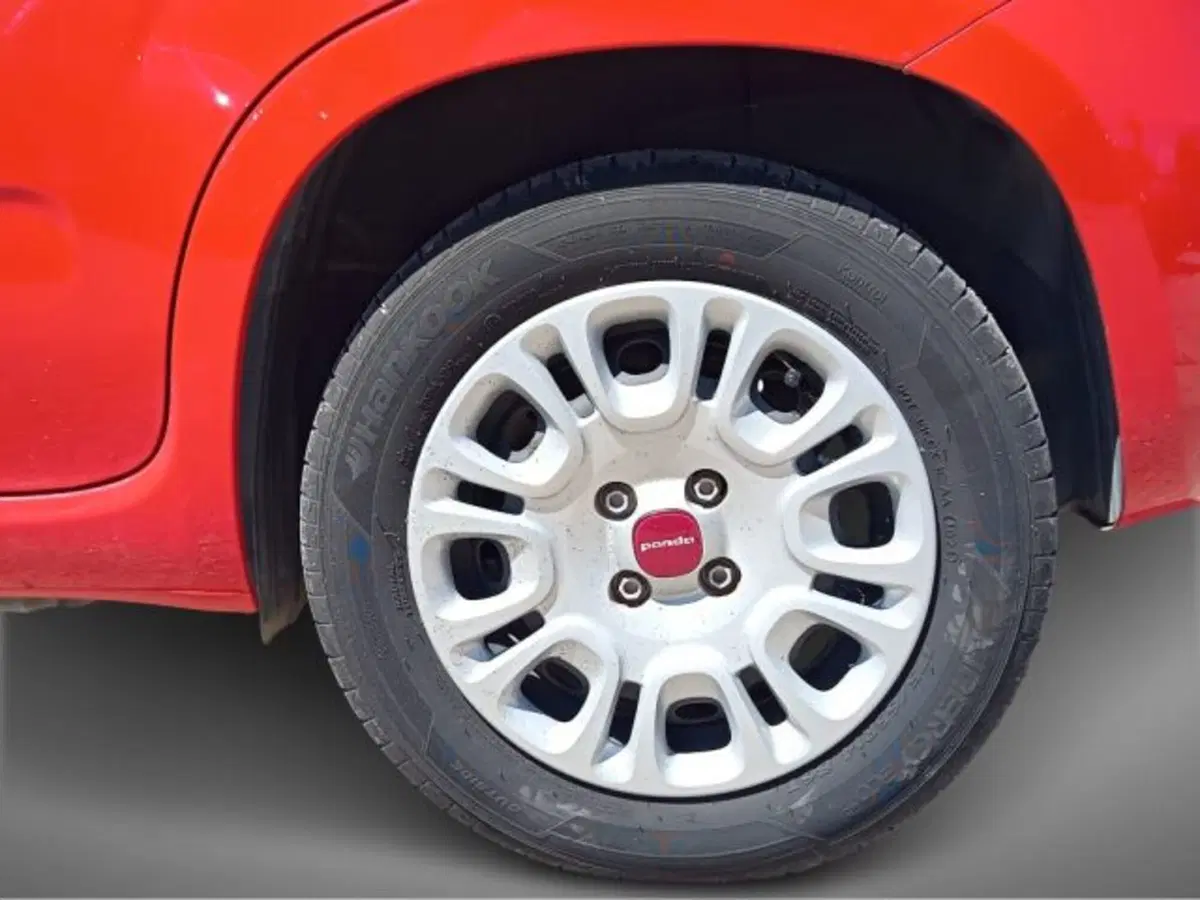 Fiat Panda usata a Frosinone (9)