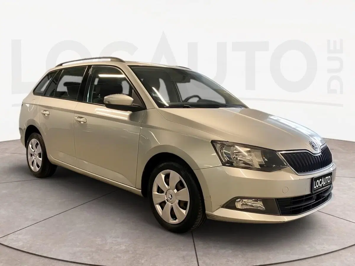 Skoda Fabia usata a Torino (2)