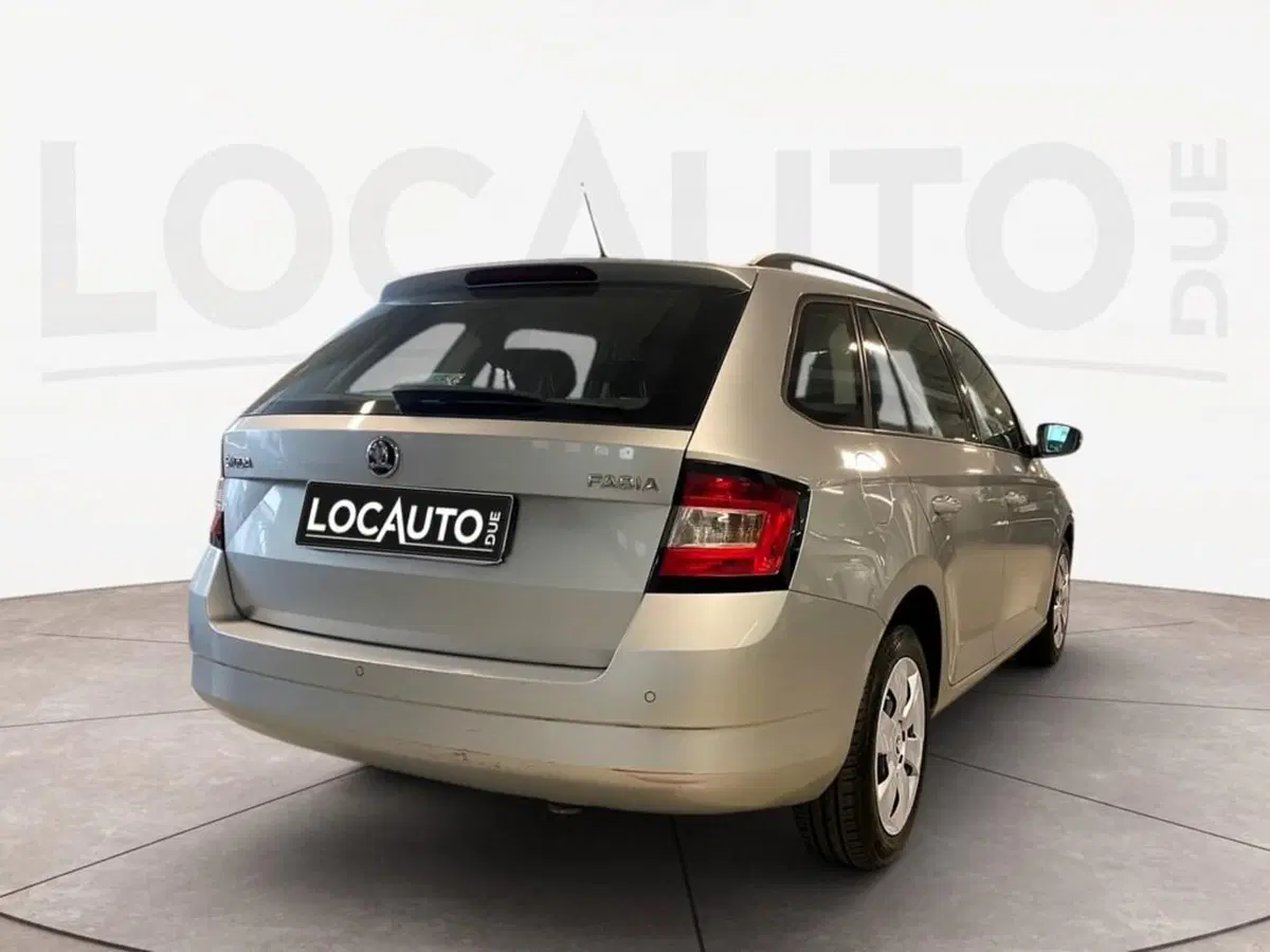 Skoda Fabia usata a Torino (3)