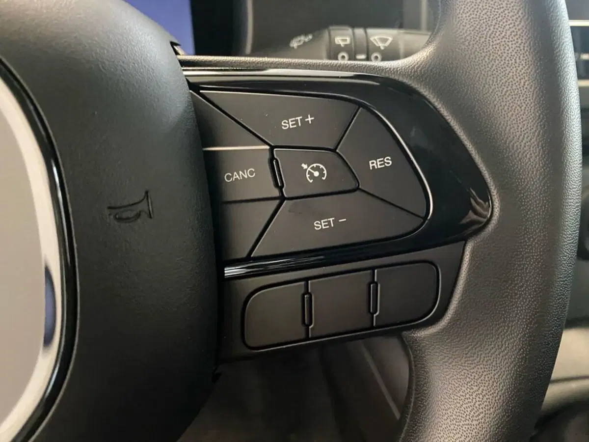 Fiat Pandina nuova a Torino (14)