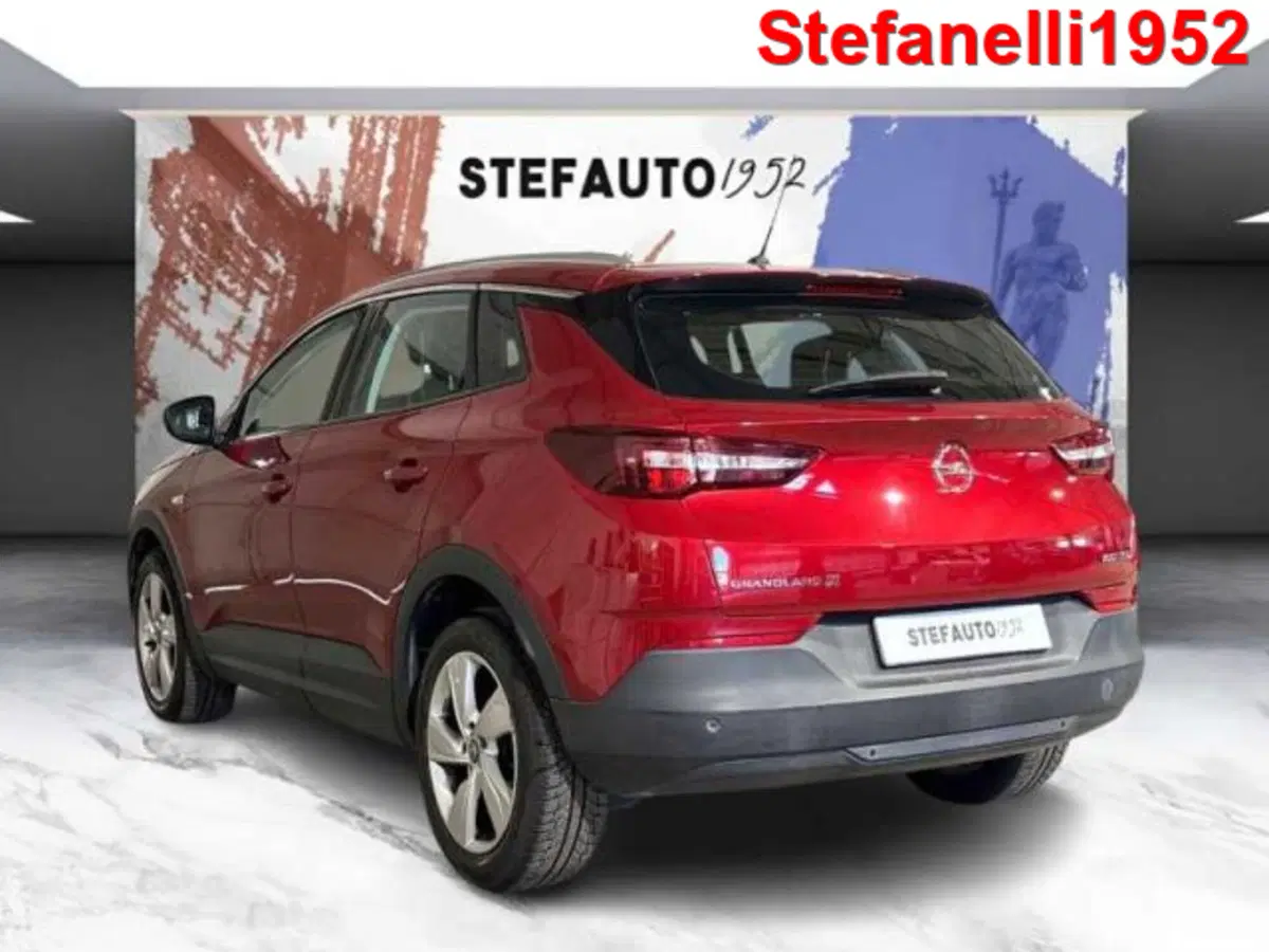 Opel Grandland X usata a Bologna (5)