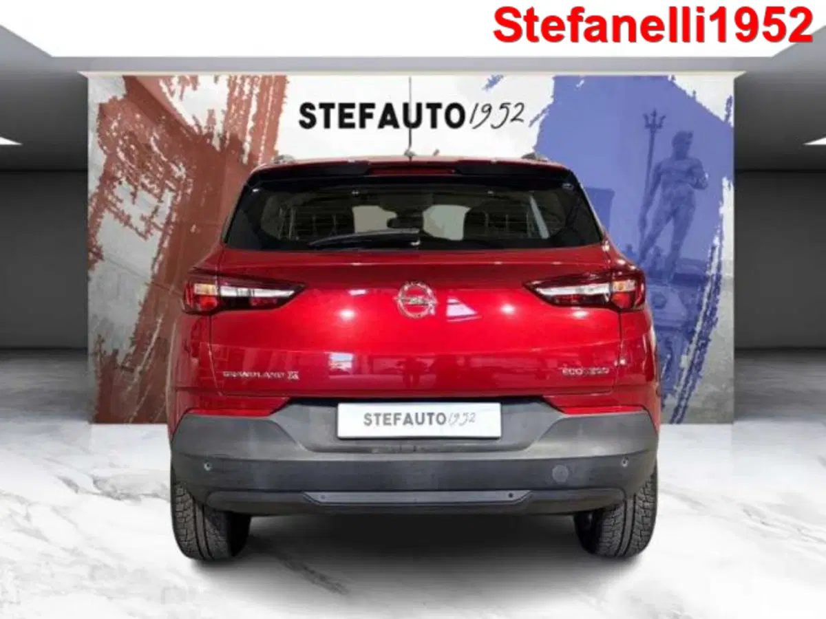 Opel Grandland X usata a Bologna (6)