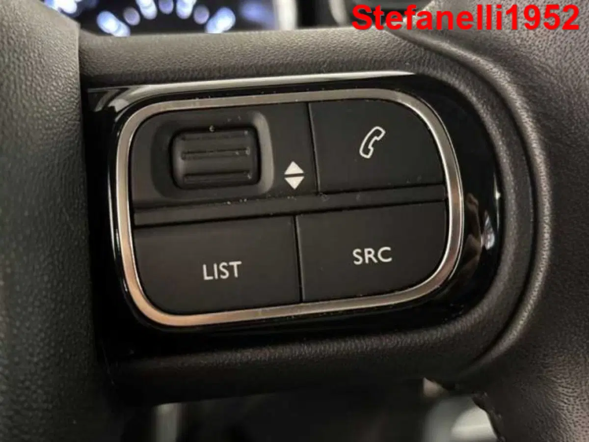 Citroen C3 usata a Bologna (19)