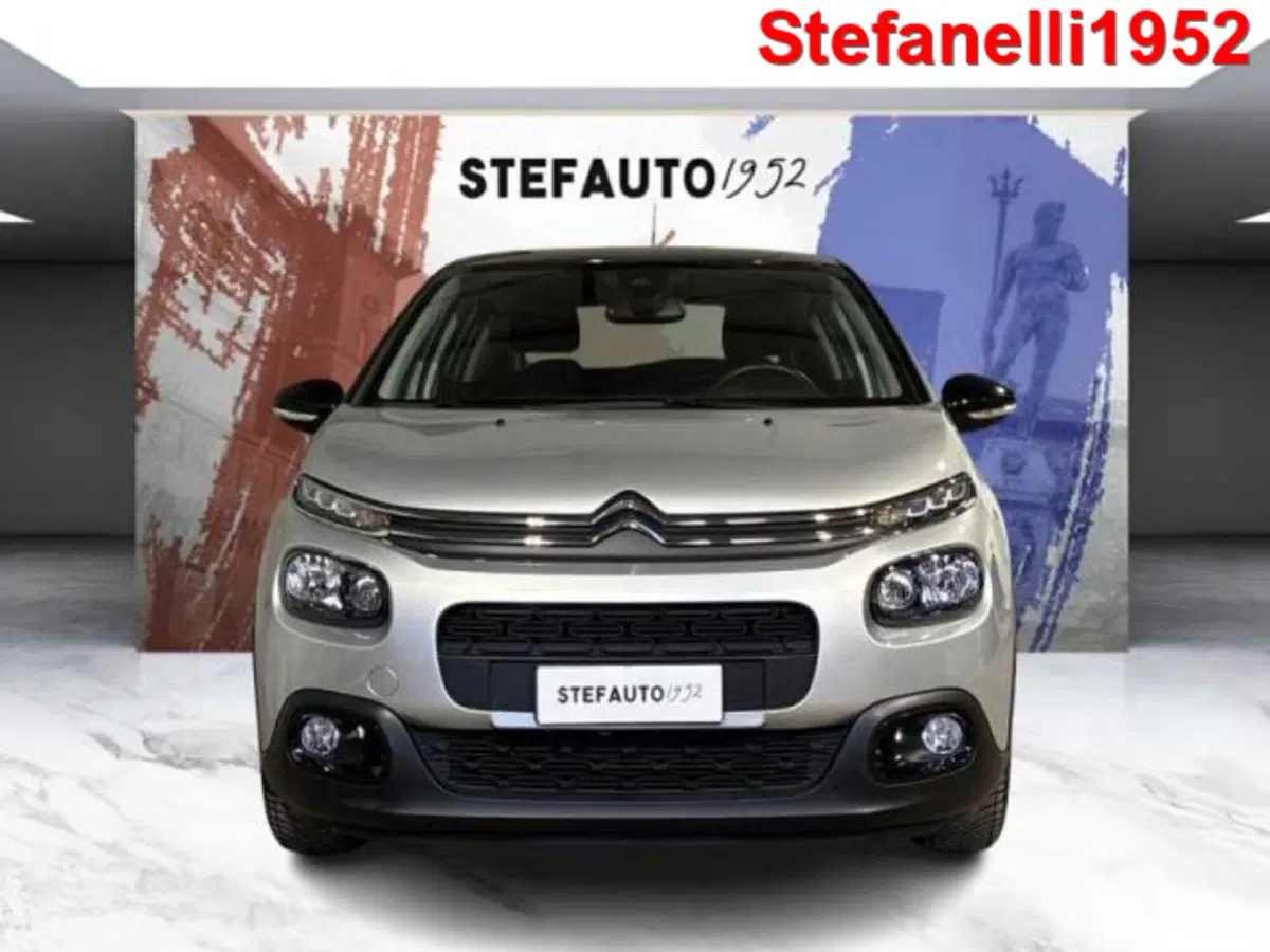 Citroen C3 usata a Bologna (2)