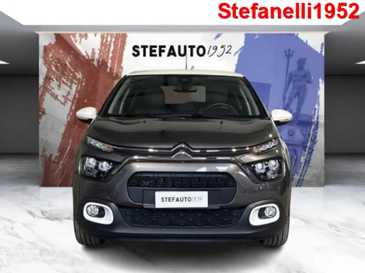 Citroen C3 usata a Bologna (2)