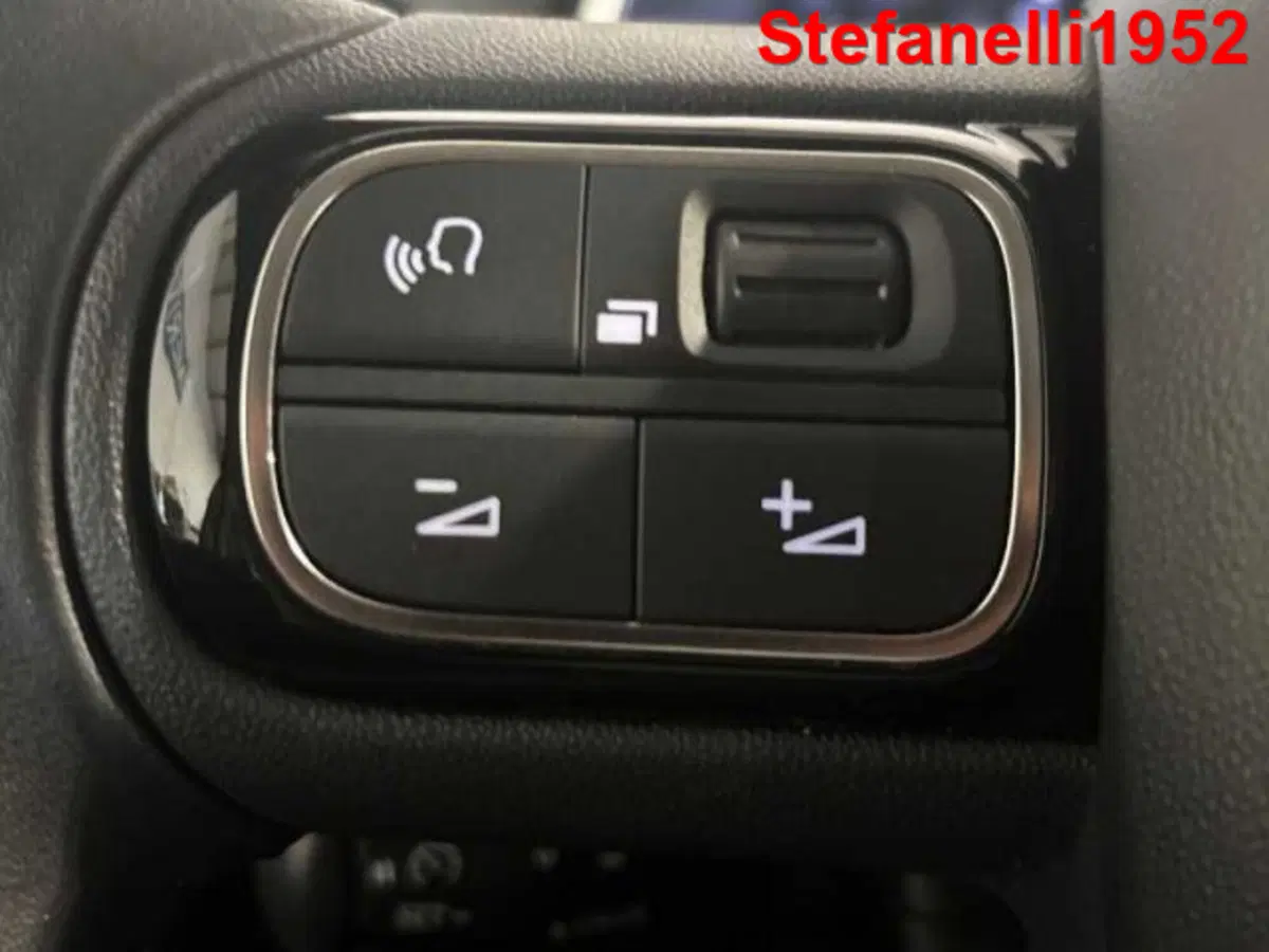 Citroen C3 usata a Bologna (20)