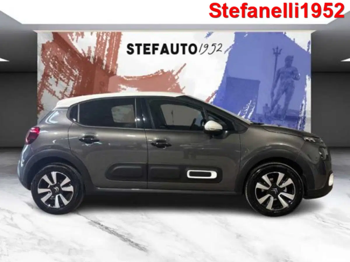 Citroen C3 usata a Bologna (3)