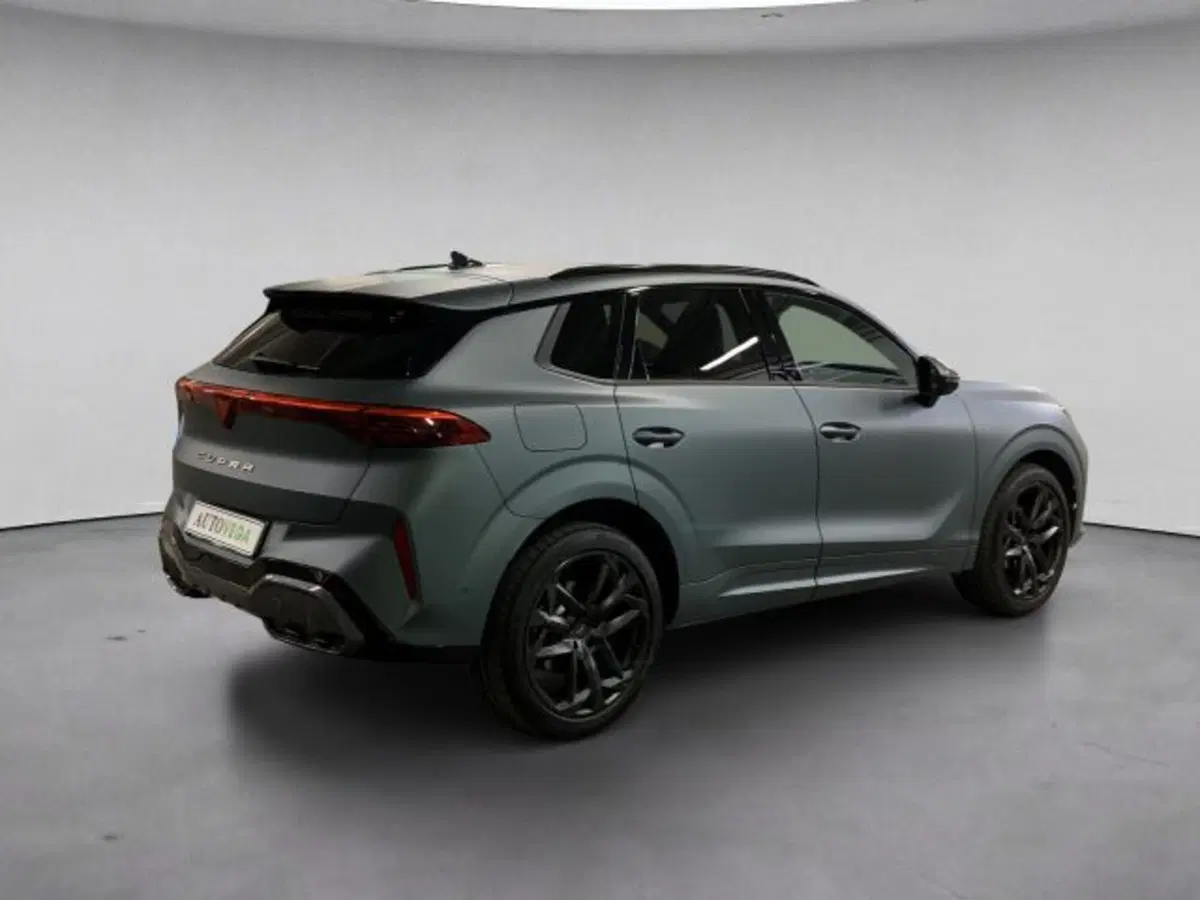 Cupra Terramar usata a Vicenza (4)