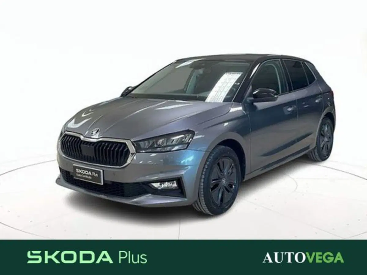 Skoda Fabia usata a Vicenza