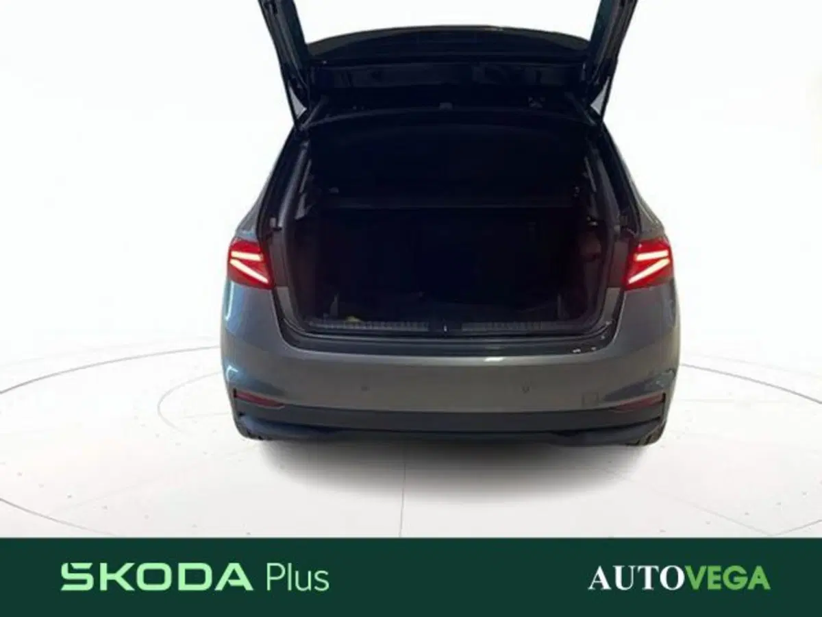 Skoda Fabia usata a Vicenza (17)