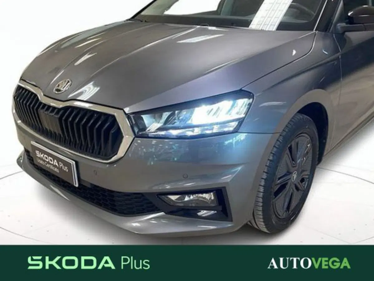 Skoda Fabia usata a Vicenza (19)