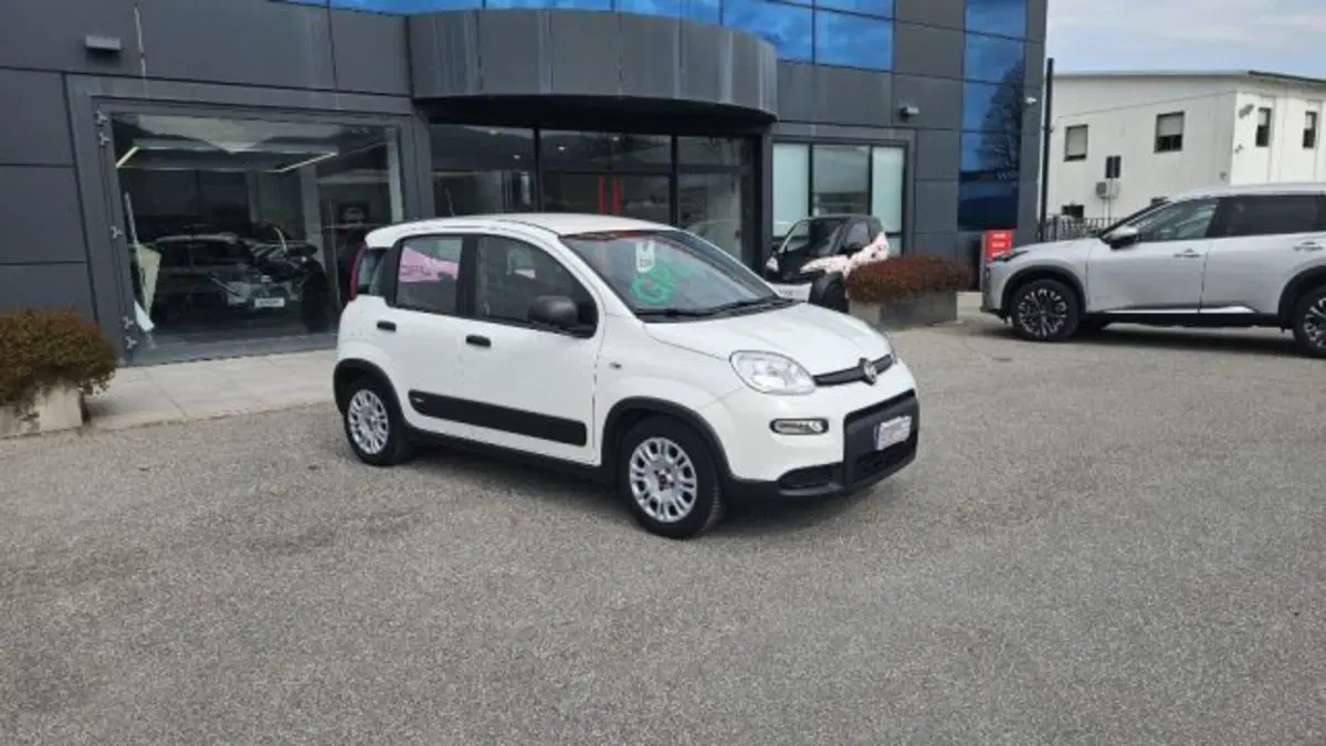 Fiat Panda usata a Lucca (2)