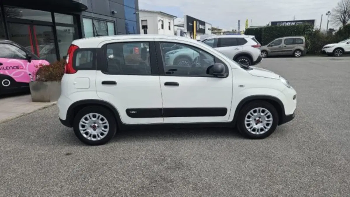 Fiat Panda usata a Lucca (3)