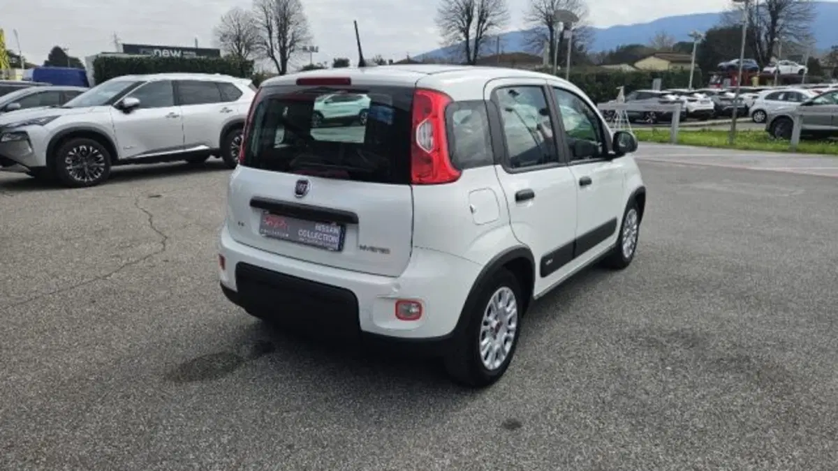 Fiat Panda usata a Lucca (4)