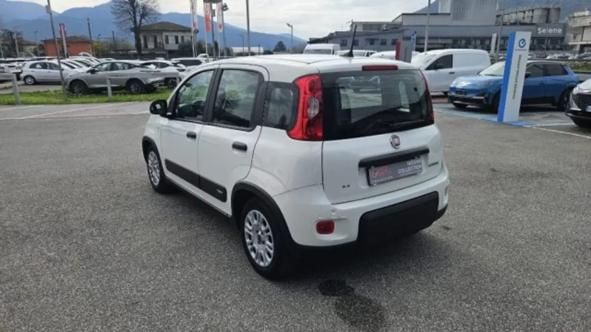 Fiat Panda usata a Lucca (6)