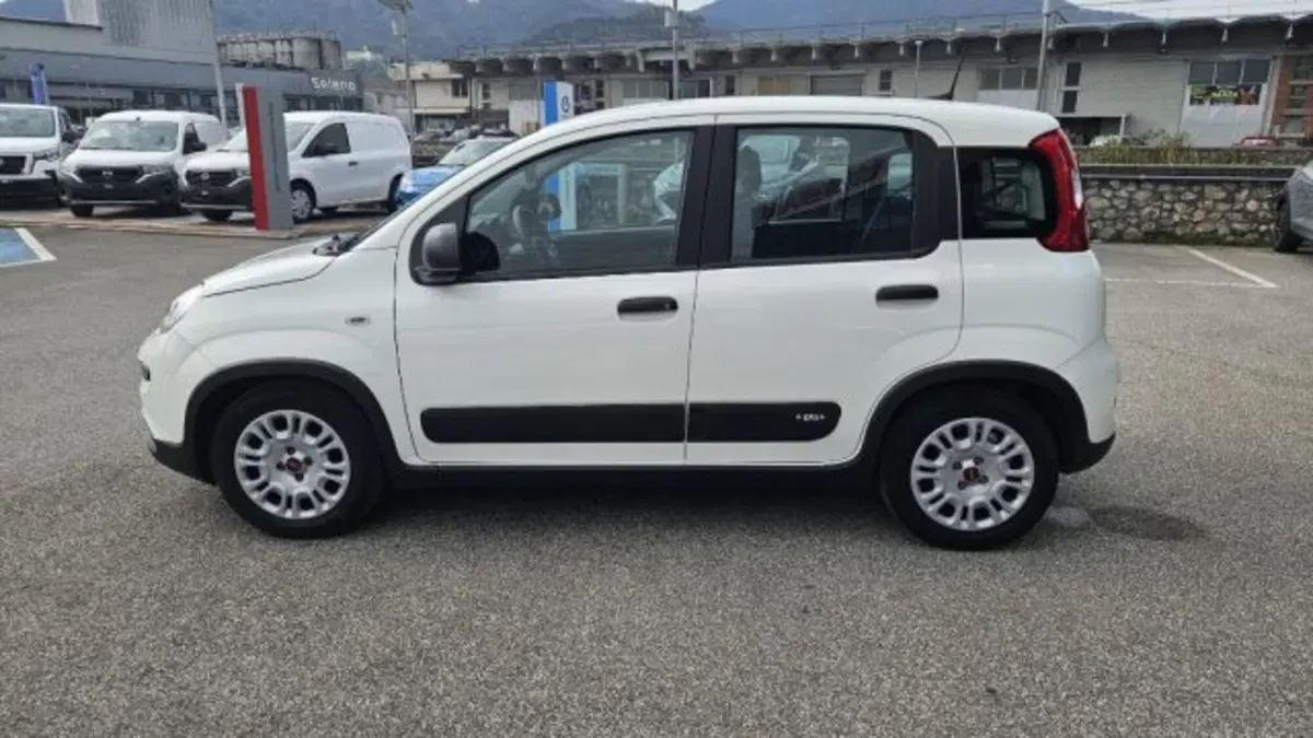 Fiat Panda usata a Lucca (7)