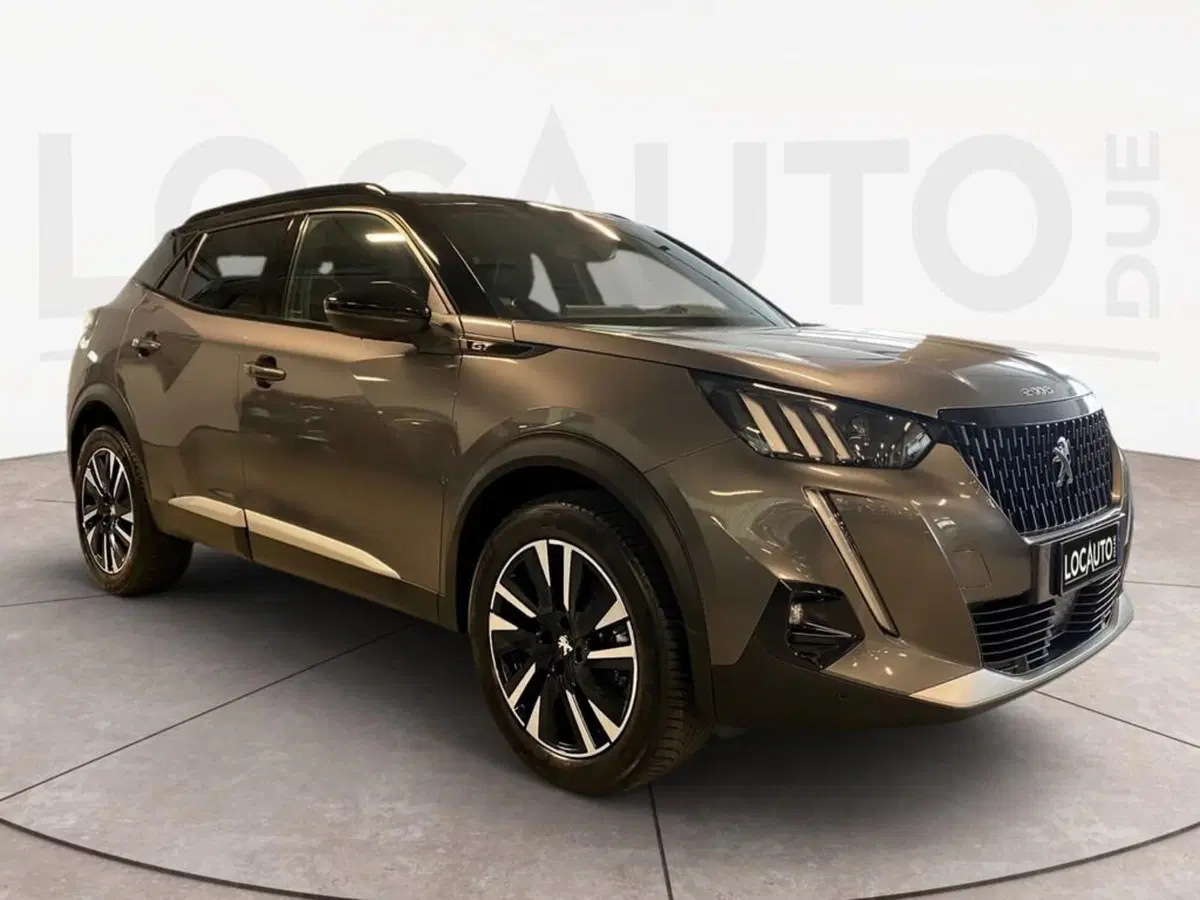 Peugeot 2008 usata a Torino (3)