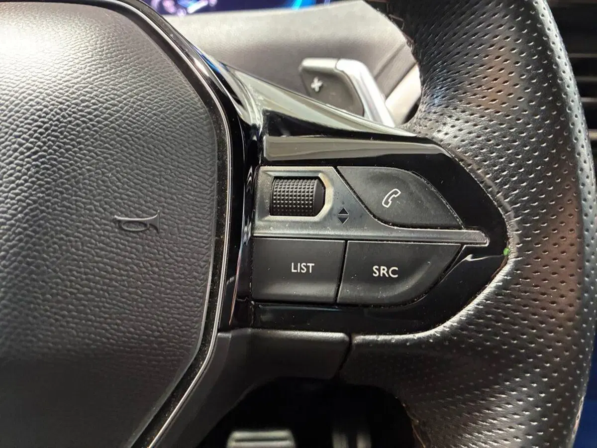 Peugeot 3008 usata a Torino (13)