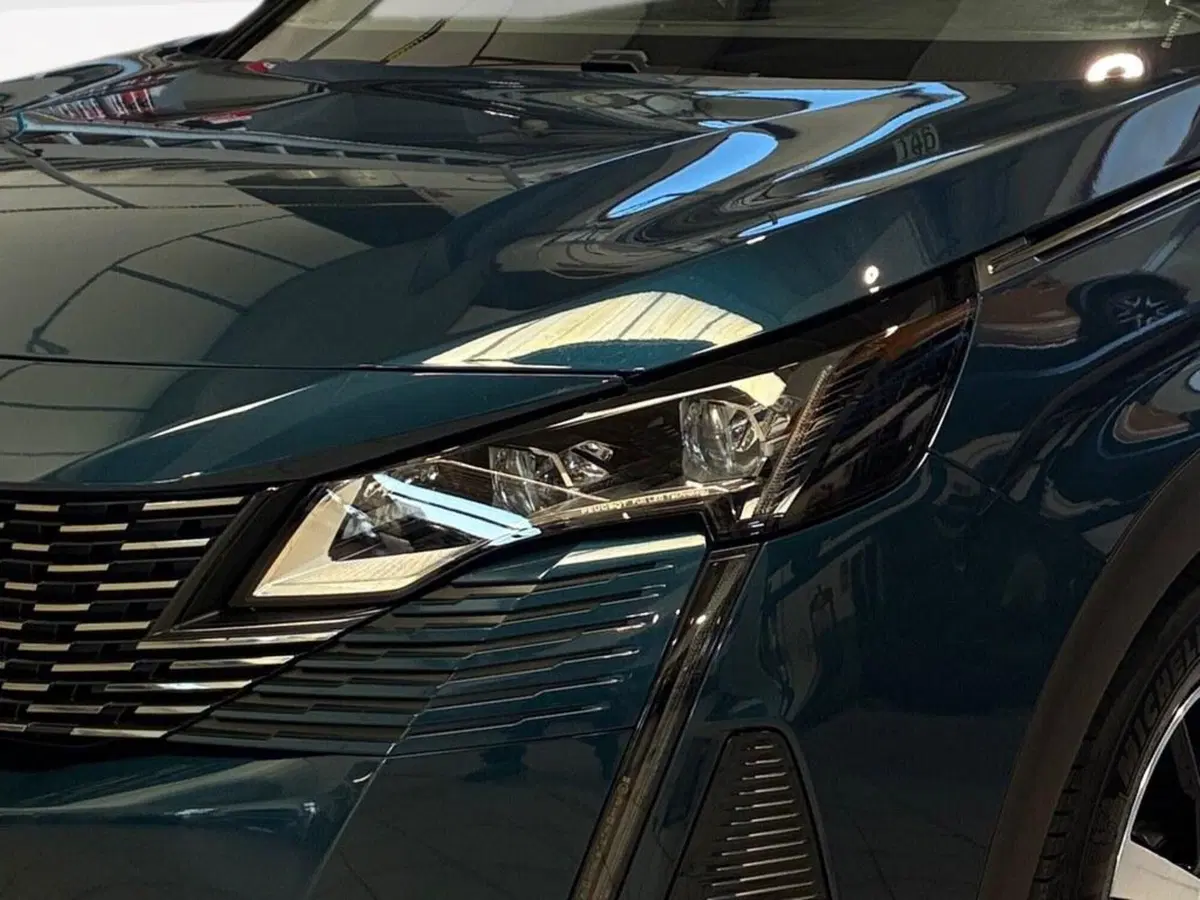 Peugeot 3008 usata a Torino (15)