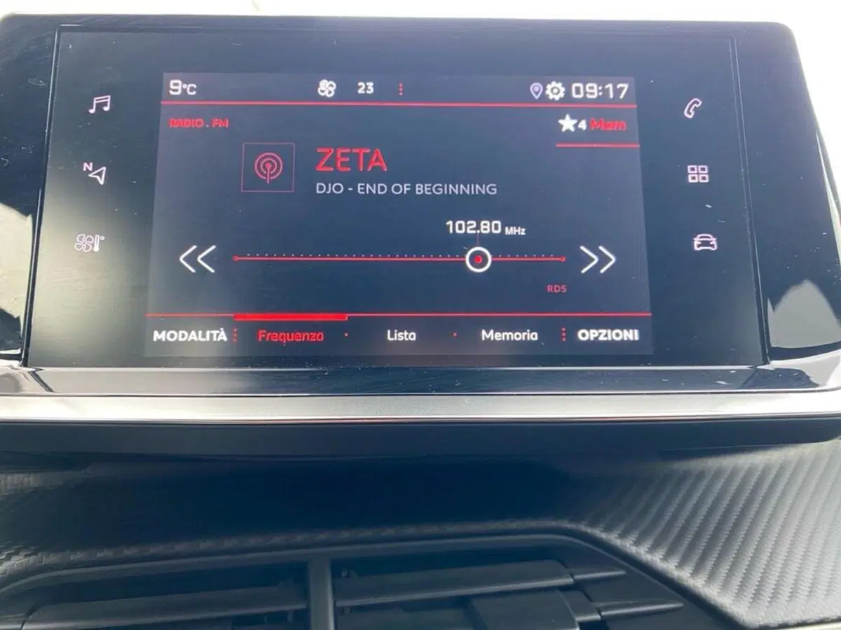 Peugeot 2008 usata a Torino (10)